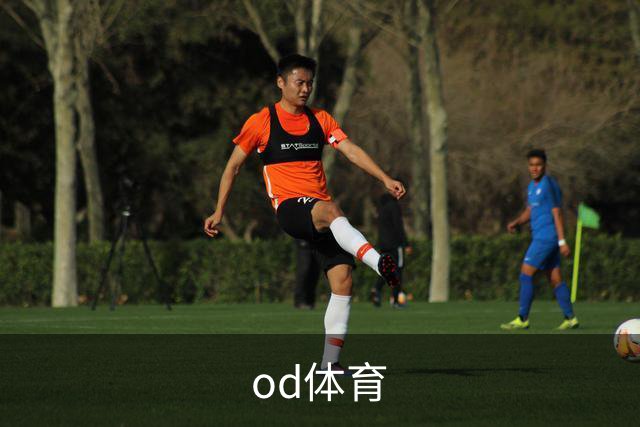 od体育 公司简介